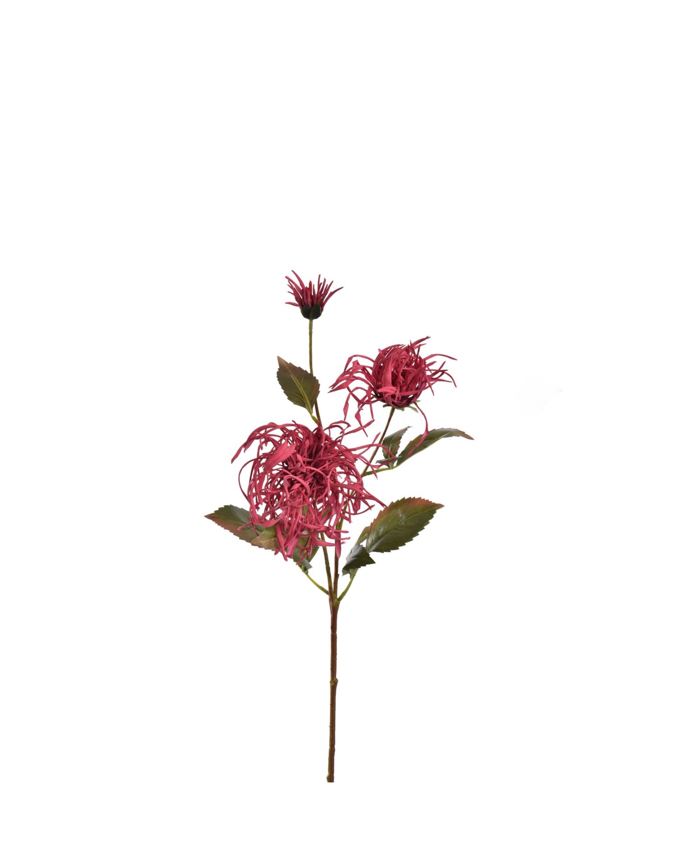 40290035_be_0