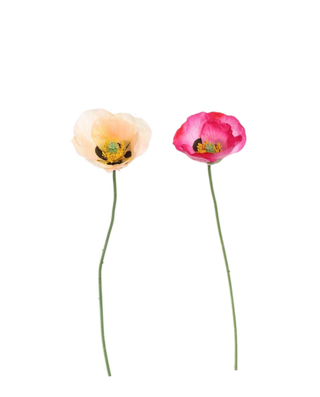 poppy