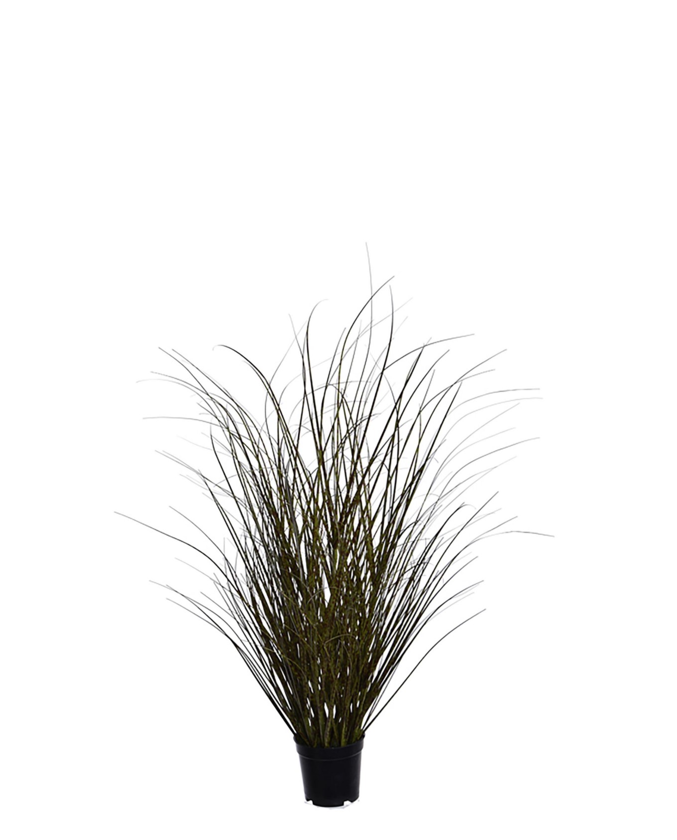 56130038_grre_0